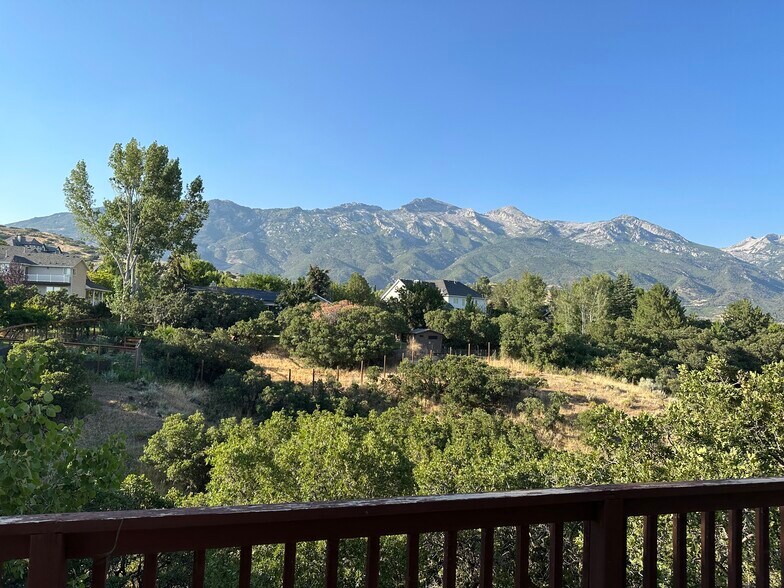 Your view - 308 Hillside Cir
