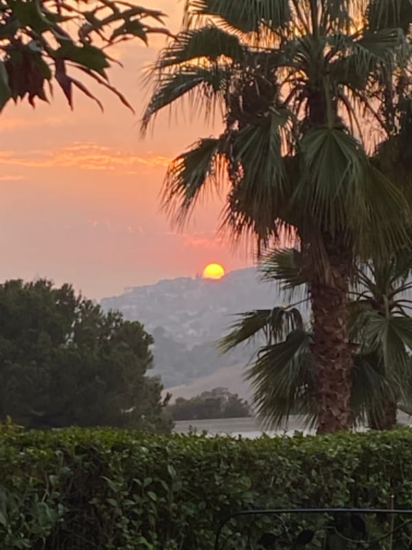 Building Photo - 1986 Sherer Ln