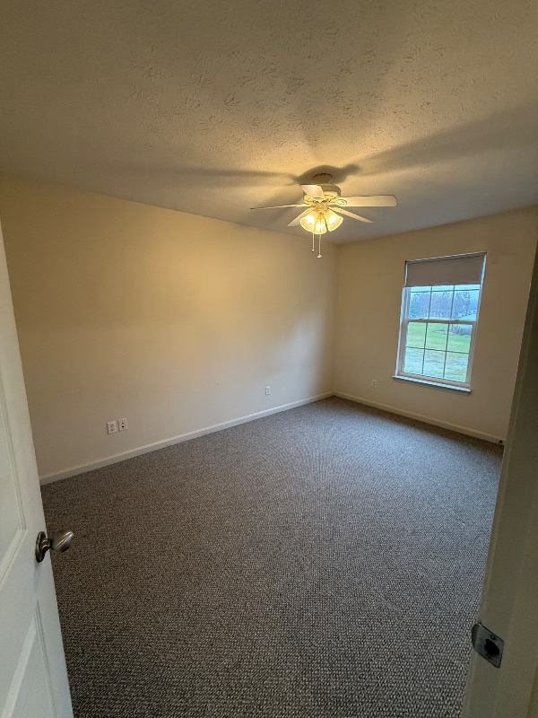 Building Photo - 57 Haven Ct