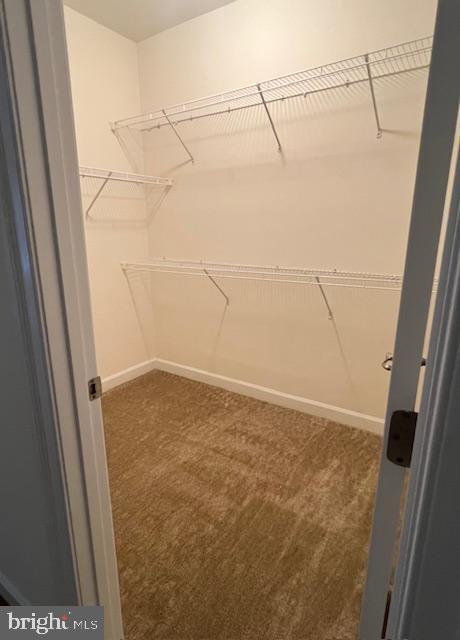 Building Photo - 3559 Katherine Way