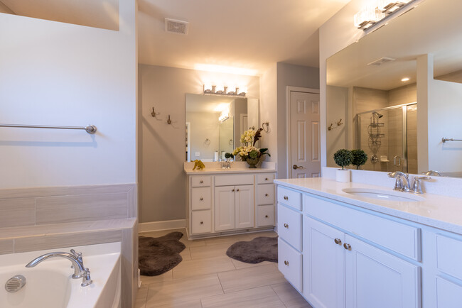 Master Bathroom - 6171 Brevard Dr SE