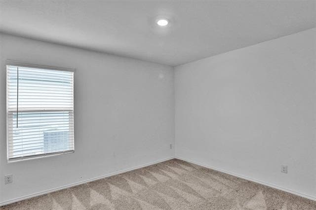 Building Photo - 1207 Tallow Trl