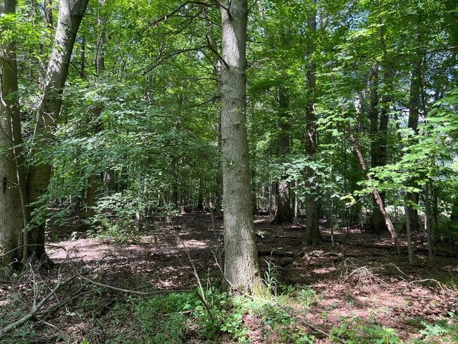Building Photo - Private Country Oasis Minutes from Southbe...