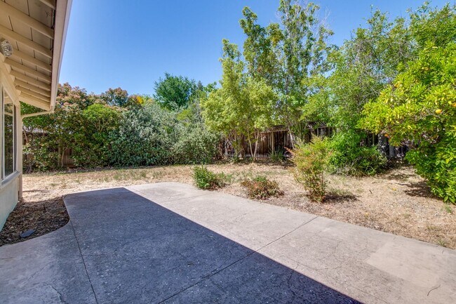 Building Photo - Spacious Home l Massive 12,525 Sq Ft Lot l...