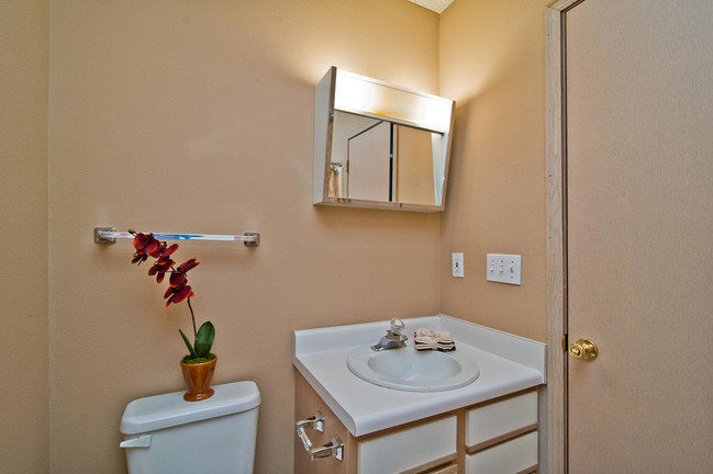 Building Photo - College Station Apartments