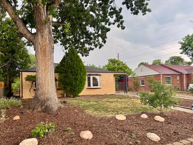Building Photo - Updated 3 Bedroom 2 Bath Single Family Hom...