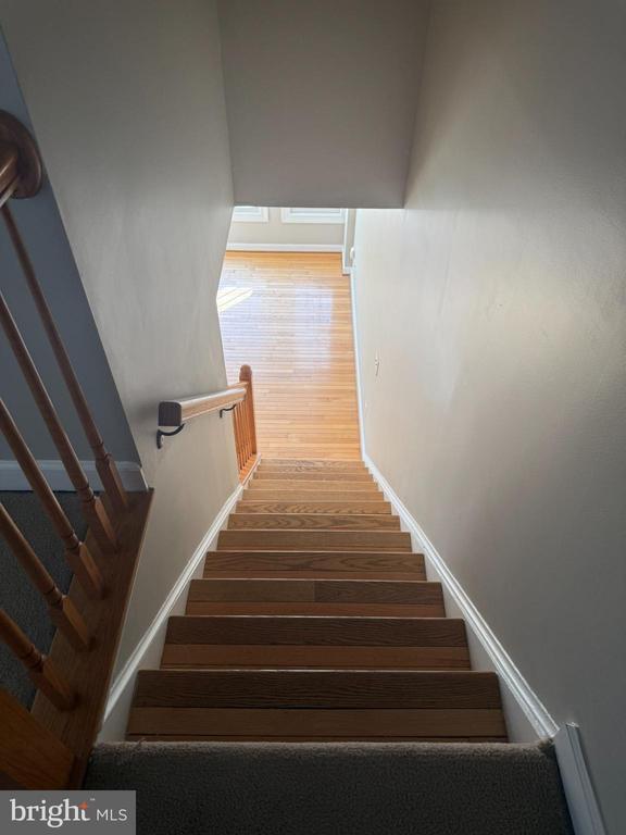 Building Photo - 4029 Dogberry Ln