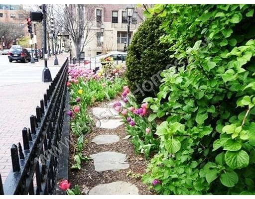 Building Photo - 148 Marlborough St
