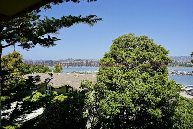 Building Photo - Top Floor Corner Unit with Mountain and Ba...