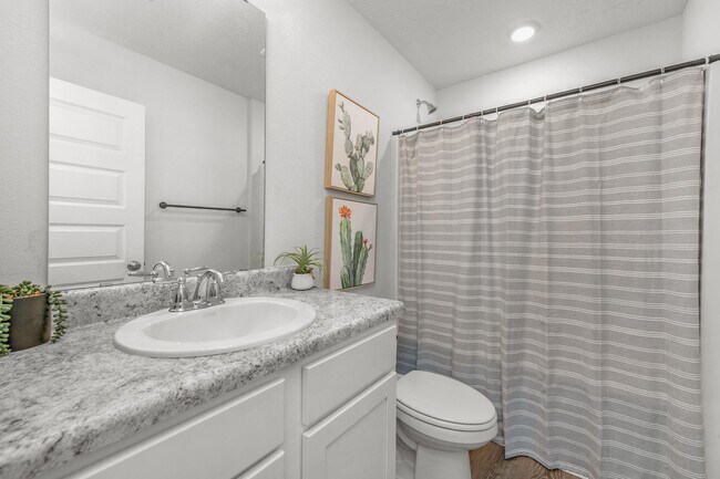 Building Photo - 6537 Torrey Pnes Trce