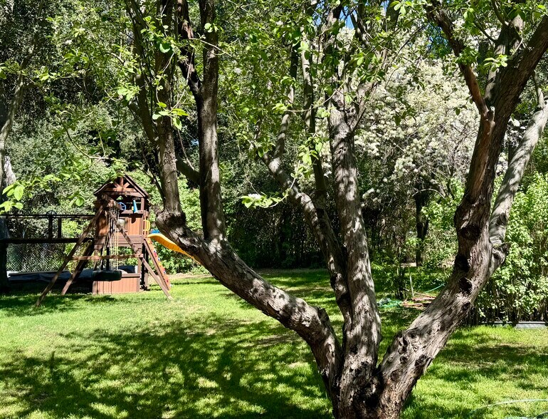 heirloom apple tree & playground - 7627 Pine Blvd