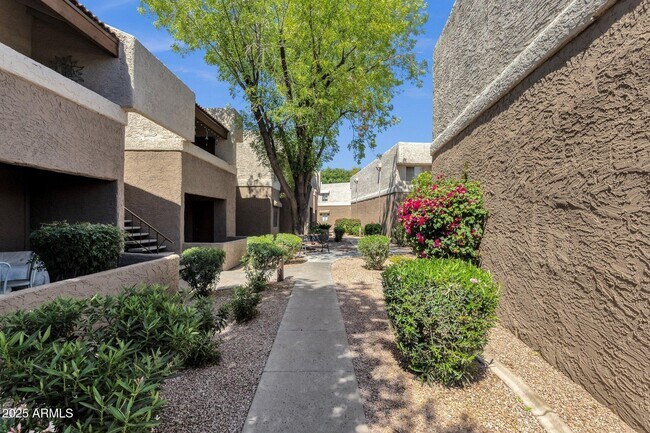 Building Photo - 4554 E Paradise Village Pkwy N