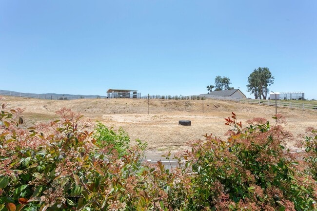 Building Photo - RANCH STYLE POOL HOME ON 2+ ACRES IN THE H...