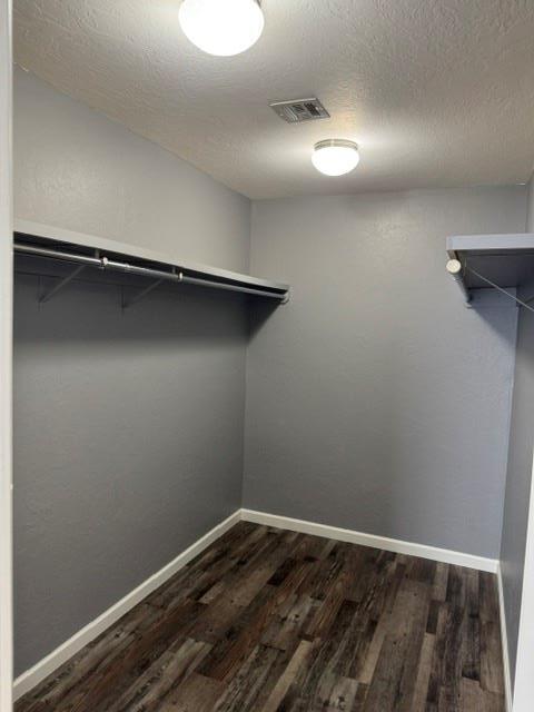 Building Photo - 1505 Shrill Ct