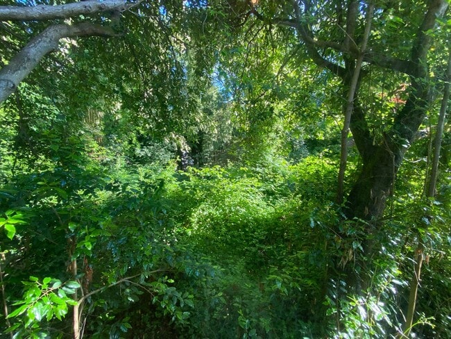 Building Photo - Super Cute Studio on Capitol Highway!