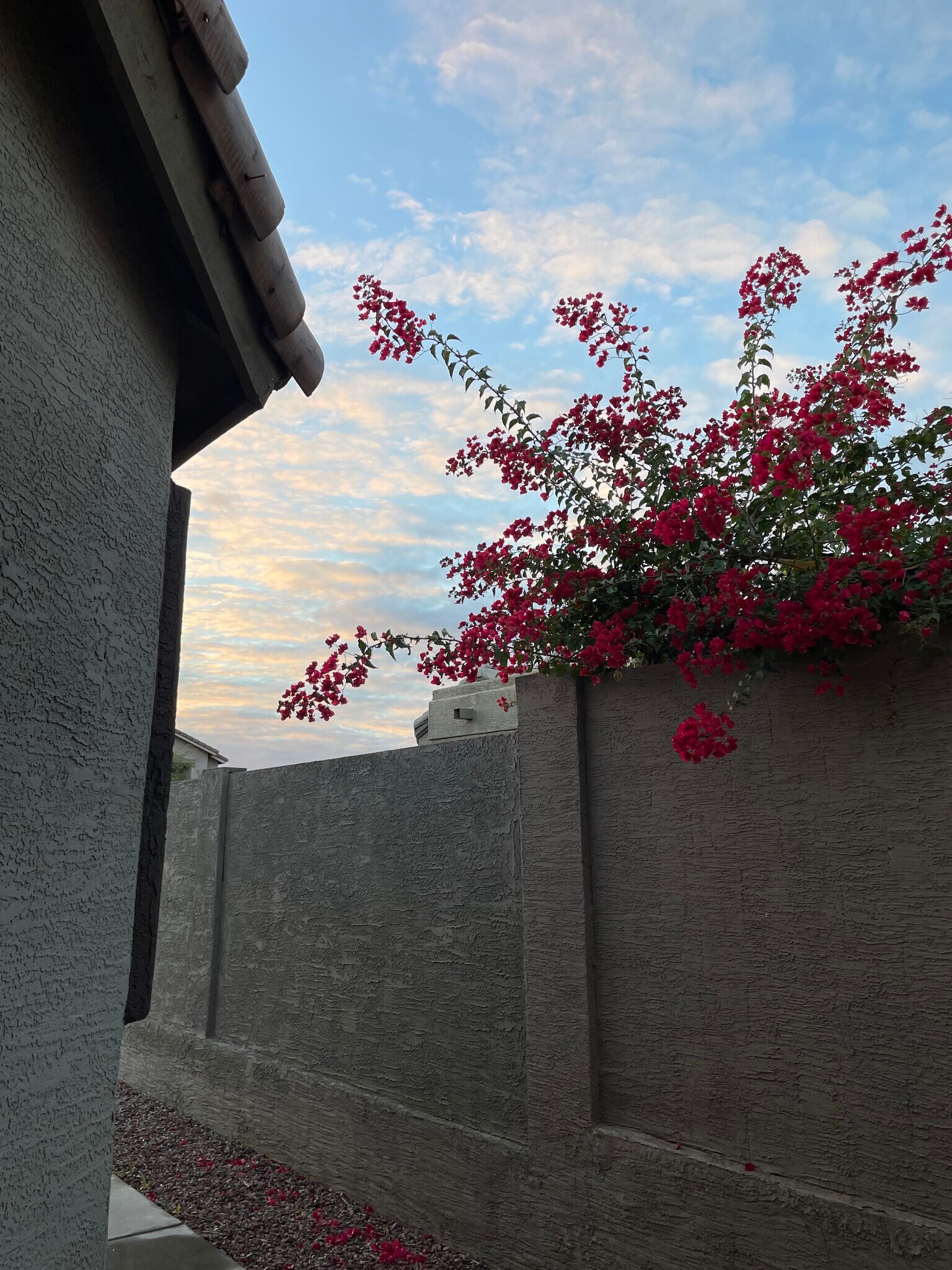 Building Photo - 2916 W Windsong Dr