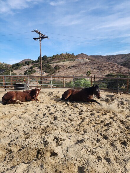 Building Photo - 2029 Willow Glen Rd