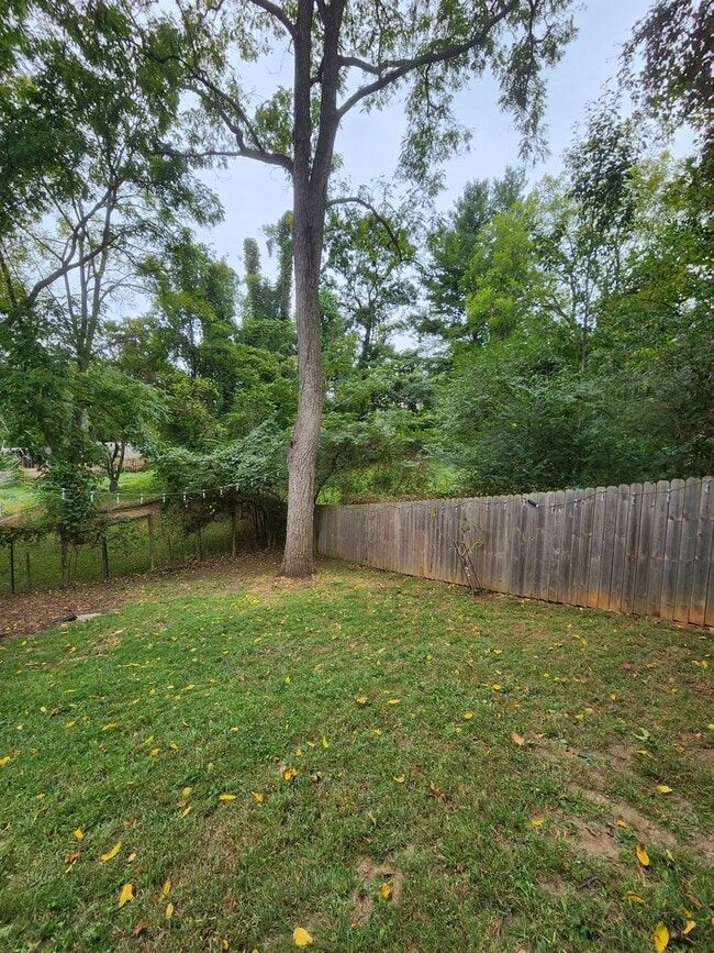 Building Photo - Asheville Rental!