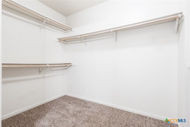 Building Photo - 605 Paintbrush Dr