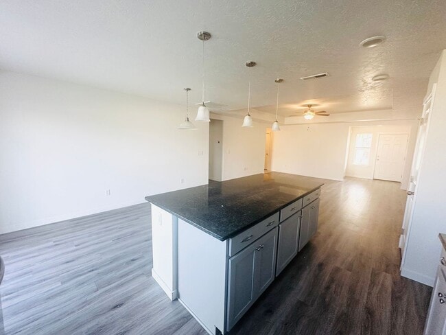 Building Photo - Beautiful Modern Home! Built Just 4 Years ...