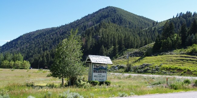 Primary Photo - The Meadows