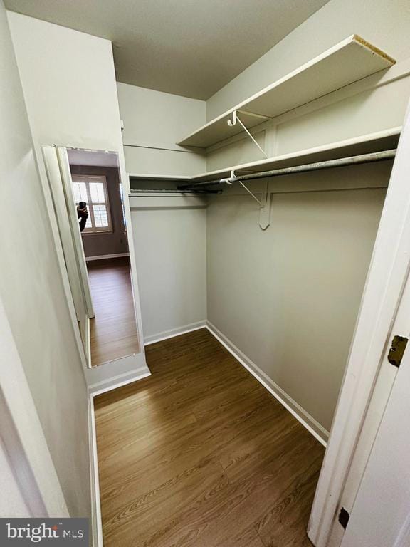 Building Photo - 8206 Red Wing Ct