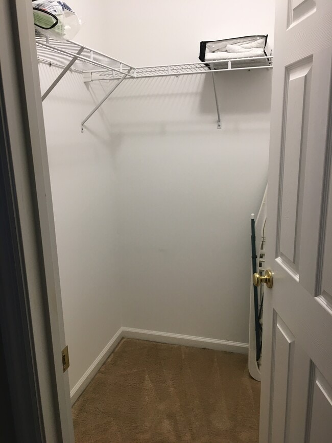 GUEST bdrm walkin closet - 1243 Carriage Dr