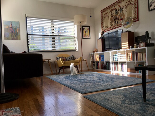 Sunny living room - 3512 SW 23rd St