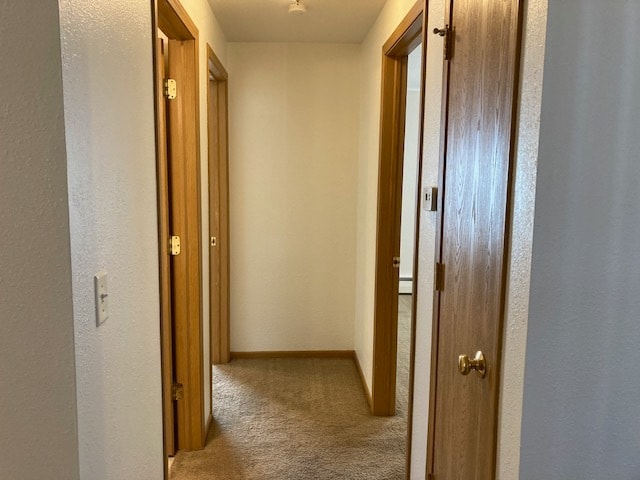 Building Photo - 1707 Western Ave