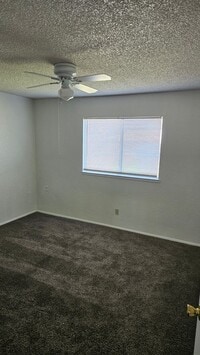 Building Photo - Spacious 3 bedroom with large backyard