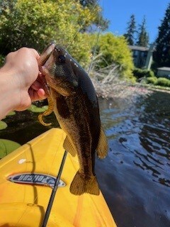 Building Photo - 432 72nd St SE