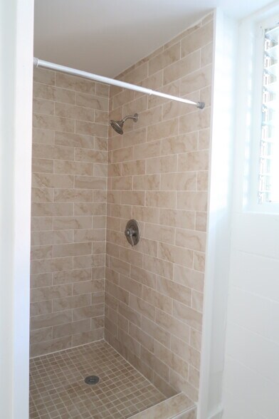 Renovated shower - 1739 Kamohoalii St