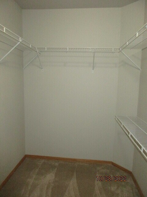 Master Closet - 2306 W Oak Park Pl
