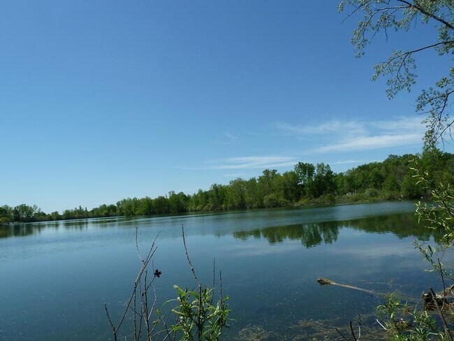 Building Photo - 11719 21 Mile Rd