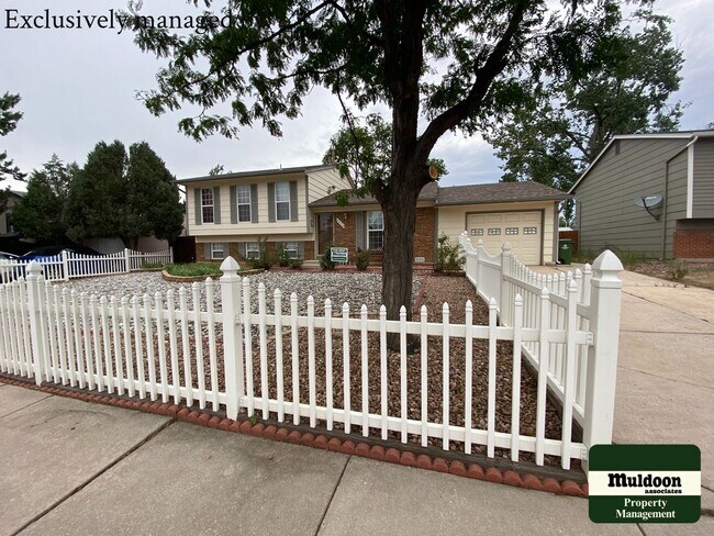 Building Photo - Beautiful 4 bedroom home in 80916! Pet Friendly!