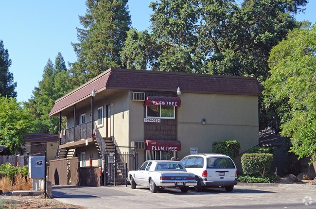 Primary Photo - Plum Tree Apartments