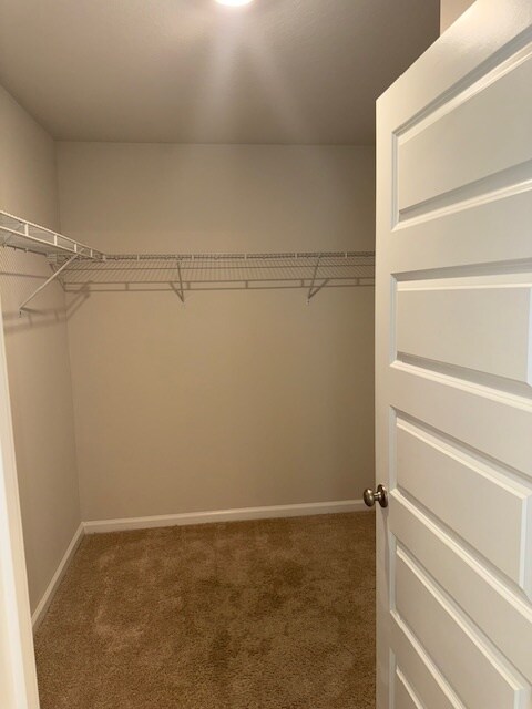 Building Photo - 4809 Conner Ln