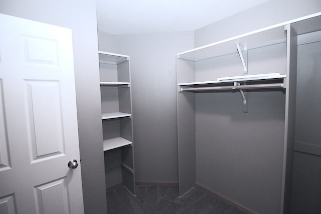 Building Photo - 8931 Broken Spoke Dr