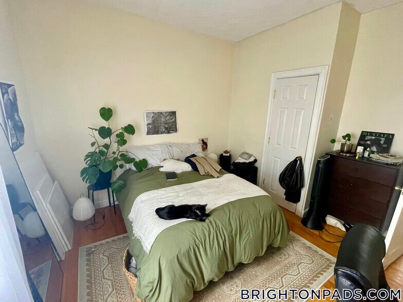 Building Photo - 40 Litchfield St