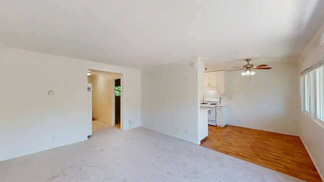 Building Photo - 1004 Ignacio Blvd