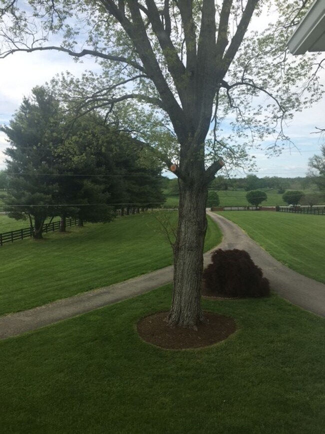 Building Photo - Kentucky mansion overlooking horse farm with stunning views    260323