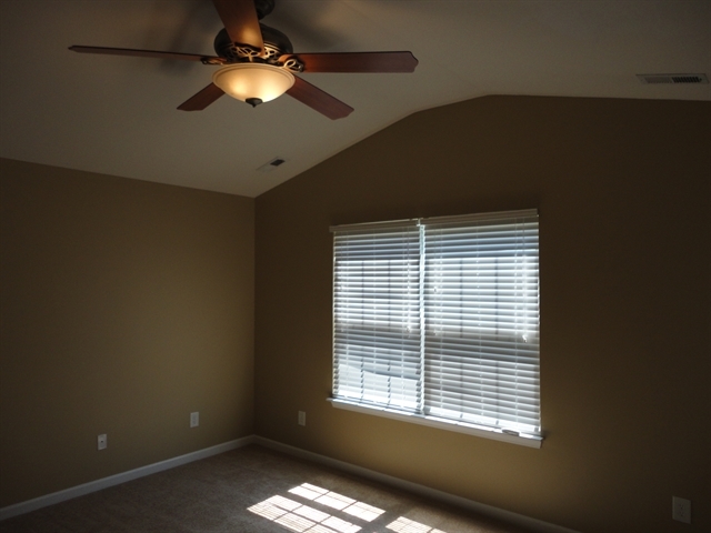Building Photo - 3825 Tyler Bluff Ln