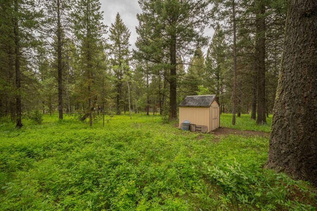 Building Photo - 3980 Bootjack Dr