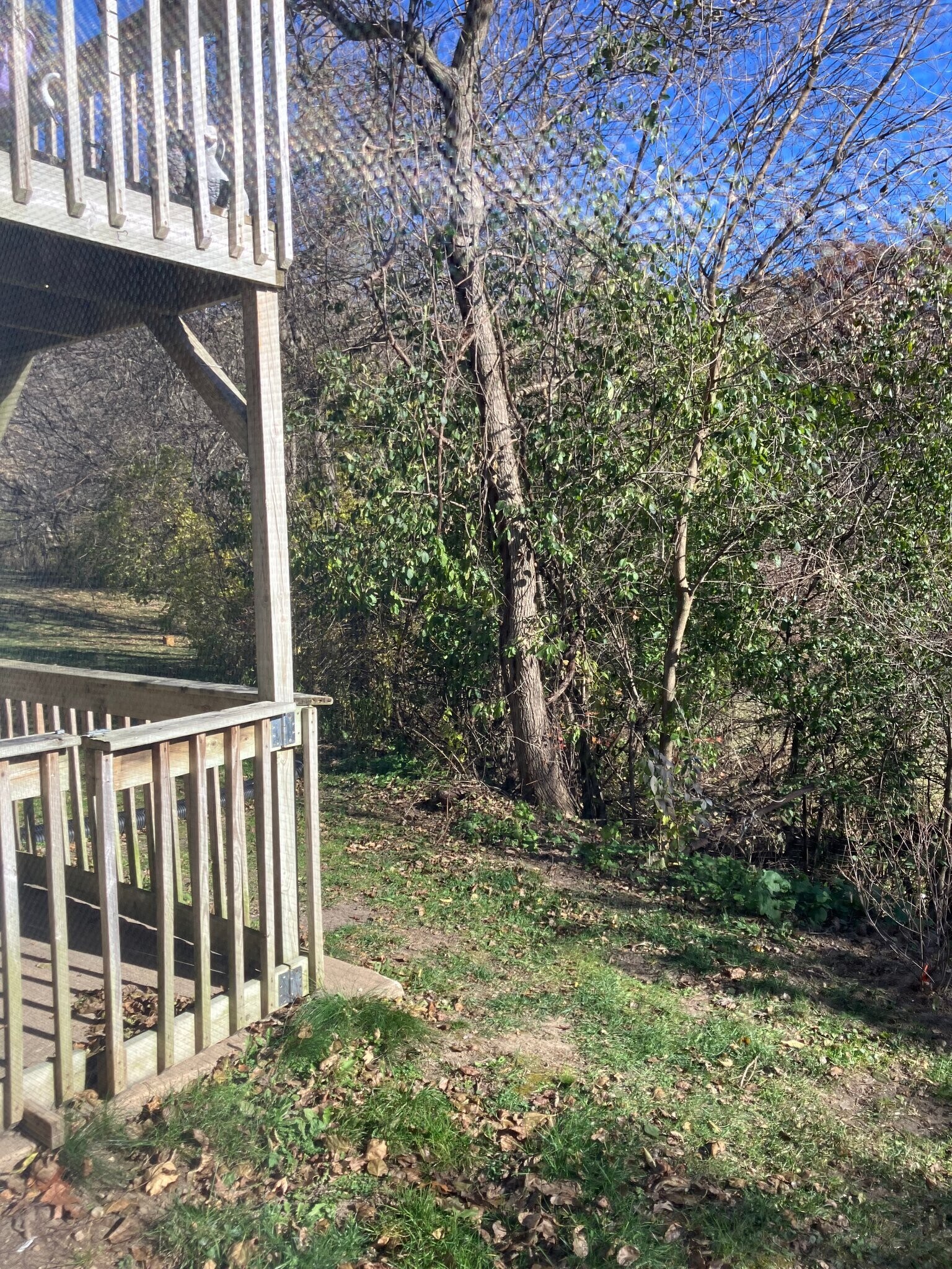 Building Photo - 803 Roundhouse Addn