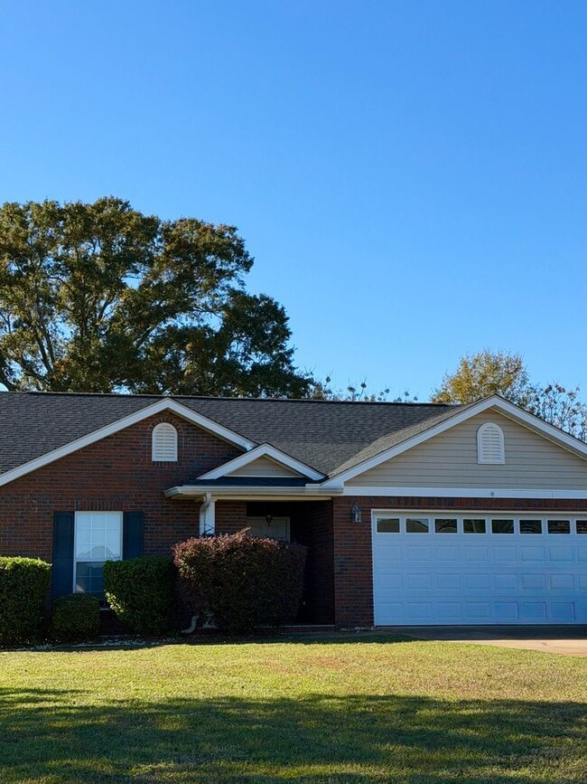 Primary Photo - Available December!