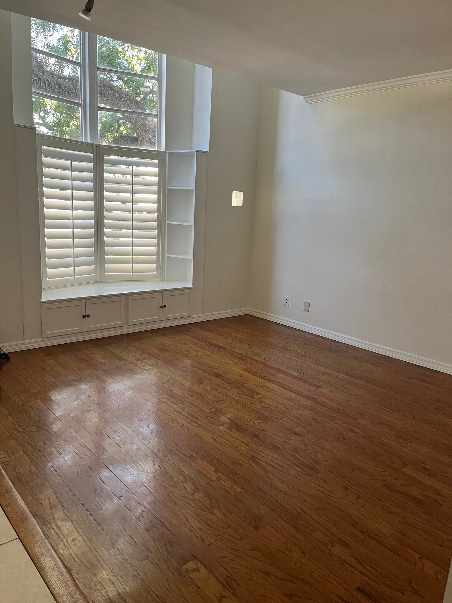 Living Room - 4950 Bayshore Blvd