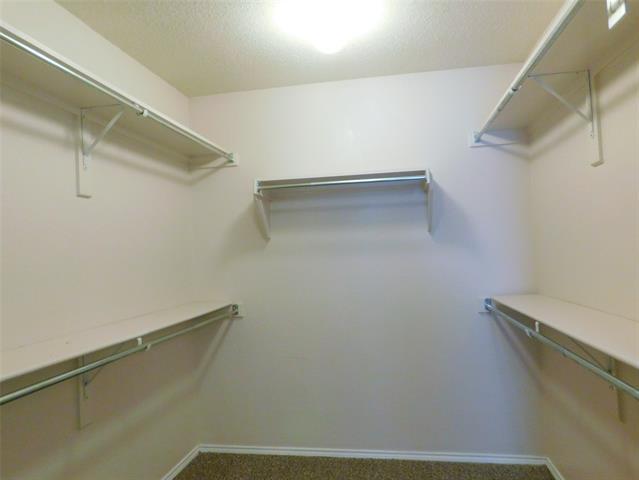 Building Photo - 4204 Sonoma Dr