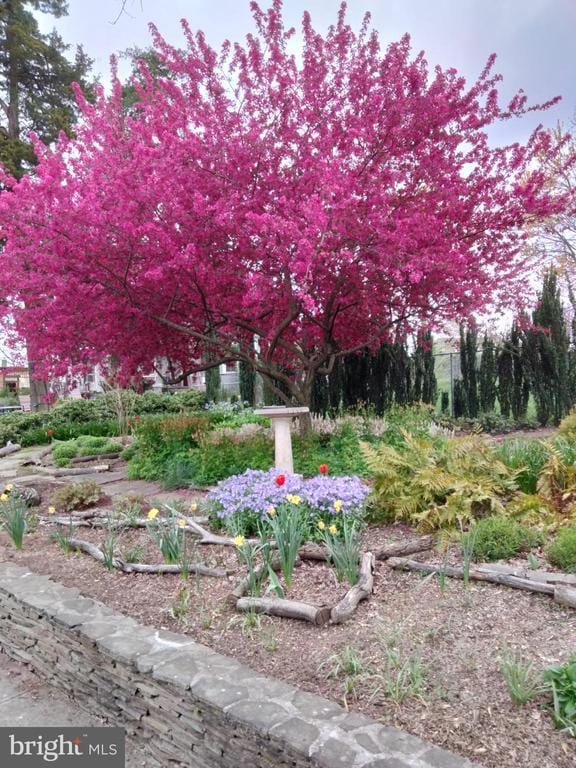 Building Photo - 2400 Valley Way