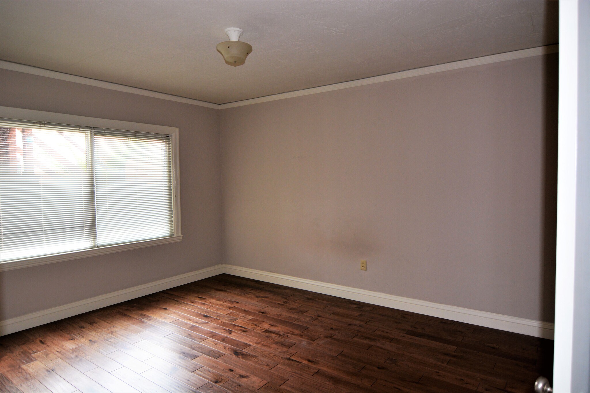Building Photo - 2306 Pacheco St