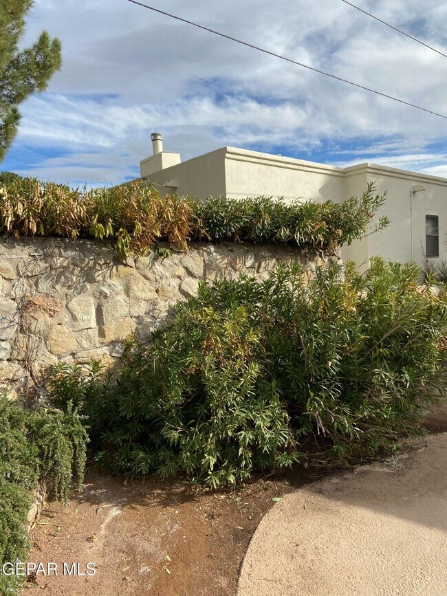 Building Photo - 6721 El Parque Dr